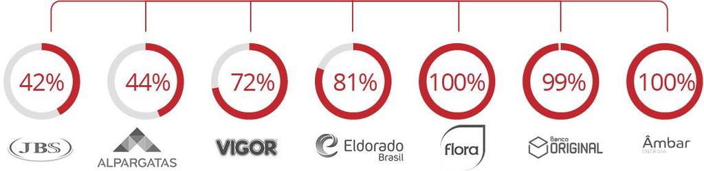 A COMPOSIÇÃO DO CONGLOMERADO Companhias e respectiva participação das empresas controladas pela J&F.