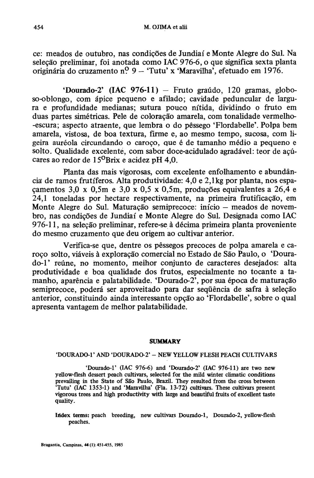 ce: meados de outubro, nas condições de Jundiaí e Monte Alegre do Sul. Na seleção preliminar, foi anotada como IAC 976-6, o que significa sexta planta originária do cruzamento n?