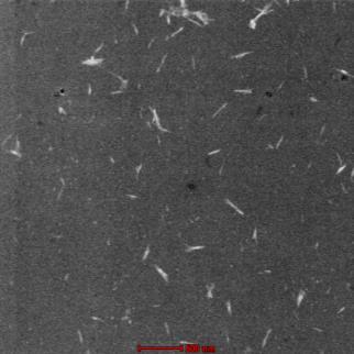 Os difratogramas exibiram picos típicos de polimorfos de celulose I (a 2θ~15,7 o e 22,4 o ) e alguns CNW apresentaram uma mistura de polimorfos de celulose I e celulose II (a ~11,6 o e 22,1 o )