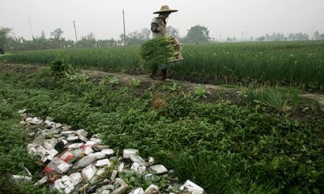 Excesso de agroquímicos, fertilizantes e pesticidas, é o maior fator