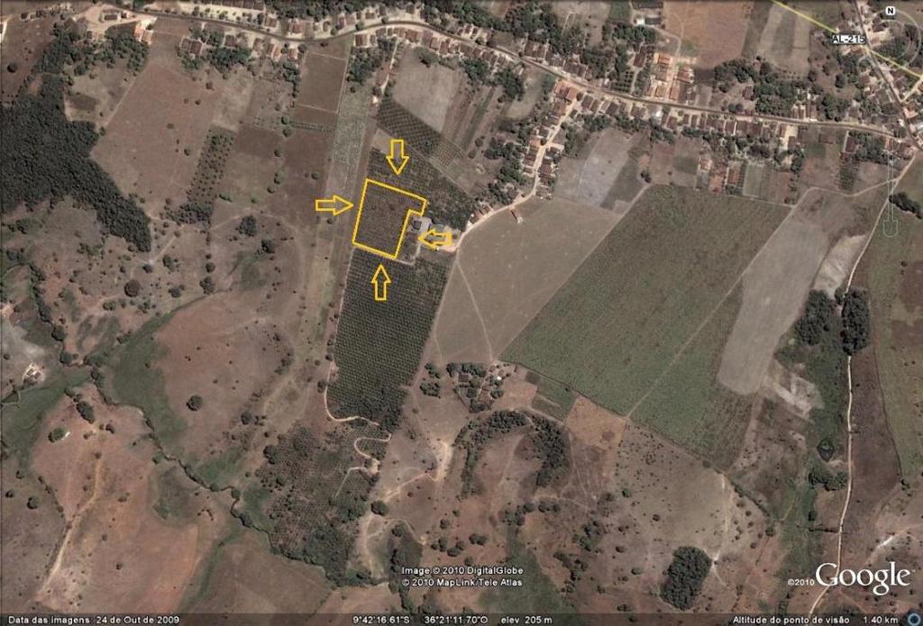 Figura 7: Localização da área experimental, Fazenda Jequiá Anadia/AL Foto: Google Mapas (Anadia AL) 4.2.