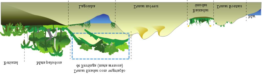 Florística e estrutura do componete arbustivo-arbóreo de... 1049 Fonte: SEMA, 2006 (modificado). Source: SEMA, 2006 (modified).
