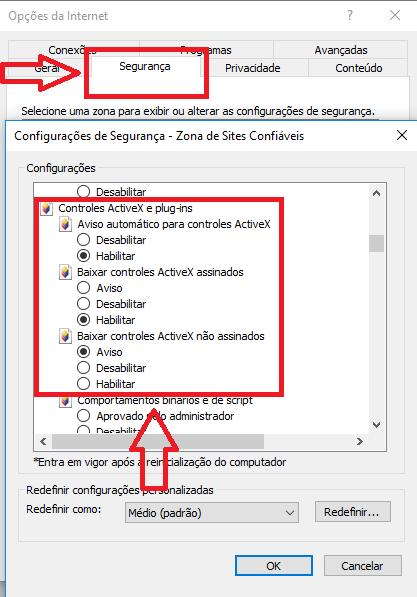 3.2.2 Em seguida, na aba segurança, habilite o aviso automático para controles