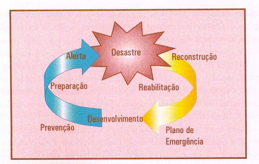 subsidências (subsidências, recalques e desabamentos), formas de transição e movimentos complexos (GUERRA e CUNHA, 1998).