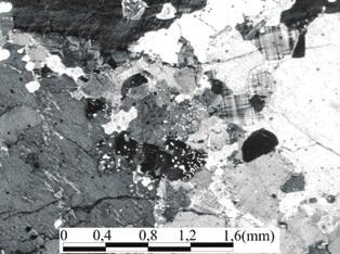 Gnaisse Turvo: registro de magmatismo paleoproterozoico no Terreno