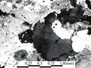 Figura 5. Fotomicrografias de rochas do Gnaisse Turvo ilustrando.