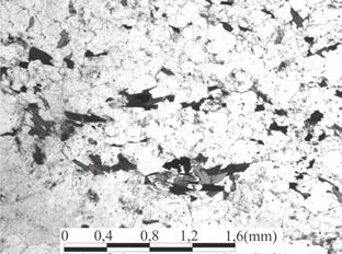 bandamento no granada-anfibólio-biotita gnaisse; (C e D) Fotomicrografias do