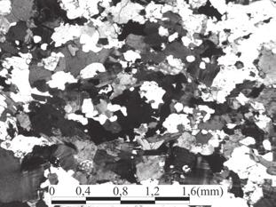 textura granoblástica; (E e F) Fotomicrografias do granada-anfibólio-biotita gnaisse