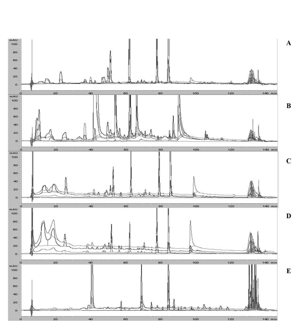 3 APRESENTAÇÃO E DISCUSSÃO DOS RESULTADOS Na figura 1 são apresentados exemplos de perfis cromatográficos obtidos a diferentes comprimentos de onda a partir dos extratos analisados.