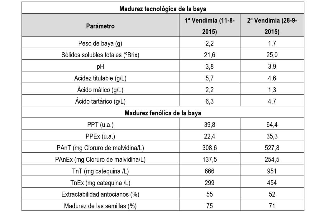 3. RESULTADOS 3.