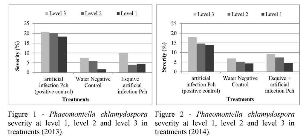 significantly from P. chlamydospora positive control (60.0%) and do not differ from water negative control (30.0%). In what concerns disease severity, significant differences could not be found among the different treatments (Table2).