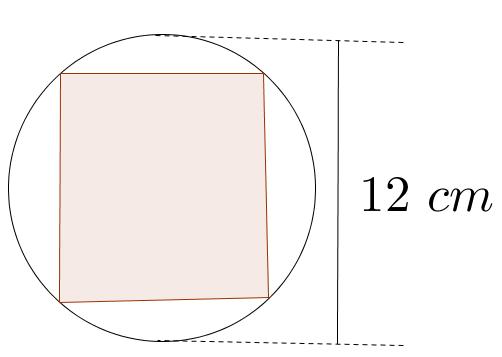 A) 48 B) 56 C) 60 D) 6 E) 64 QUESTÃO 19 Paulo colocou uma foto de 15 cm por 0 cm em um porta-retratos