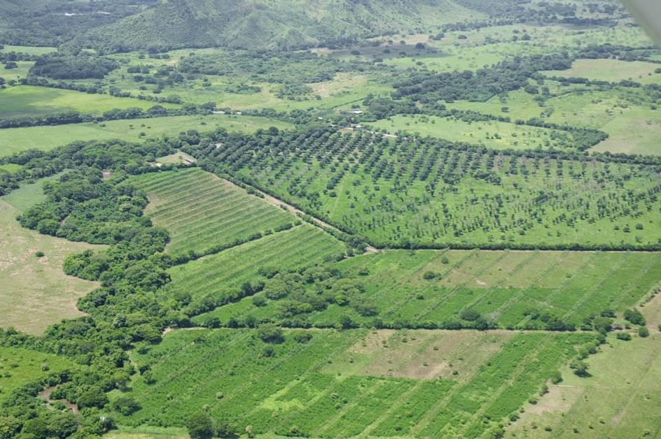 Pagamento por Serviços Ambientais