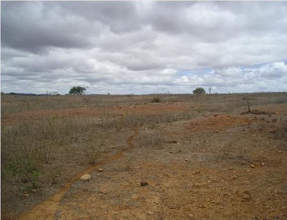 cuidados, pois a caprinocultura se alimenta de quase tudo o que a caatinga oferece, até mesmo da folhagem seca que poderia ser incorporada ao solo como matéria orgânica.