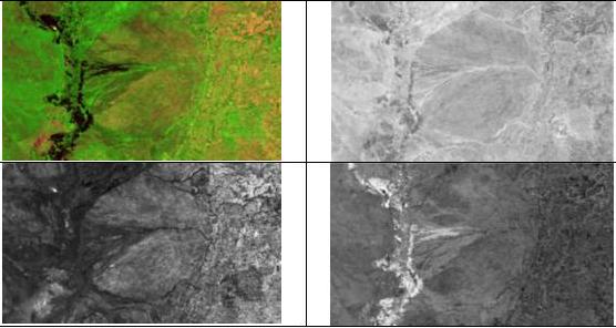 Como pode ser observado, a imagem fração vegetação pode ser usada para a análise das condições da cobertura vegetal; a imagem fração solo realça as áreas sem cobertura vegetal, como por exemplo as