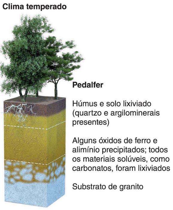 Ilustrações: Divanzir Padilha/Luis Moura Clima e a formação do solo PRESS, Frank et al.