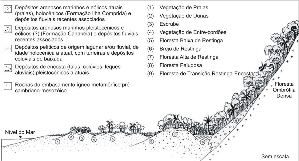 (1997) modificado