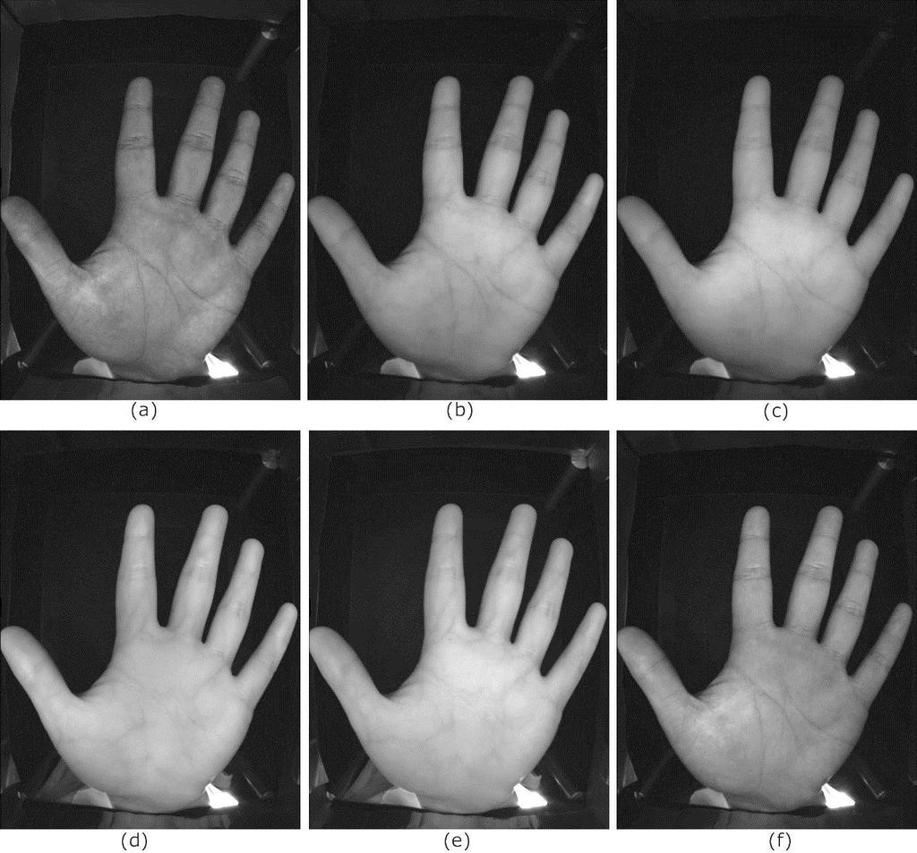 70 FIGURA 19 - IMAGENS DO BANCO DE DADOS ADQUIRIDAS EM DIFERENTES ESPECTROS ELETROMAGNÉTICOS.