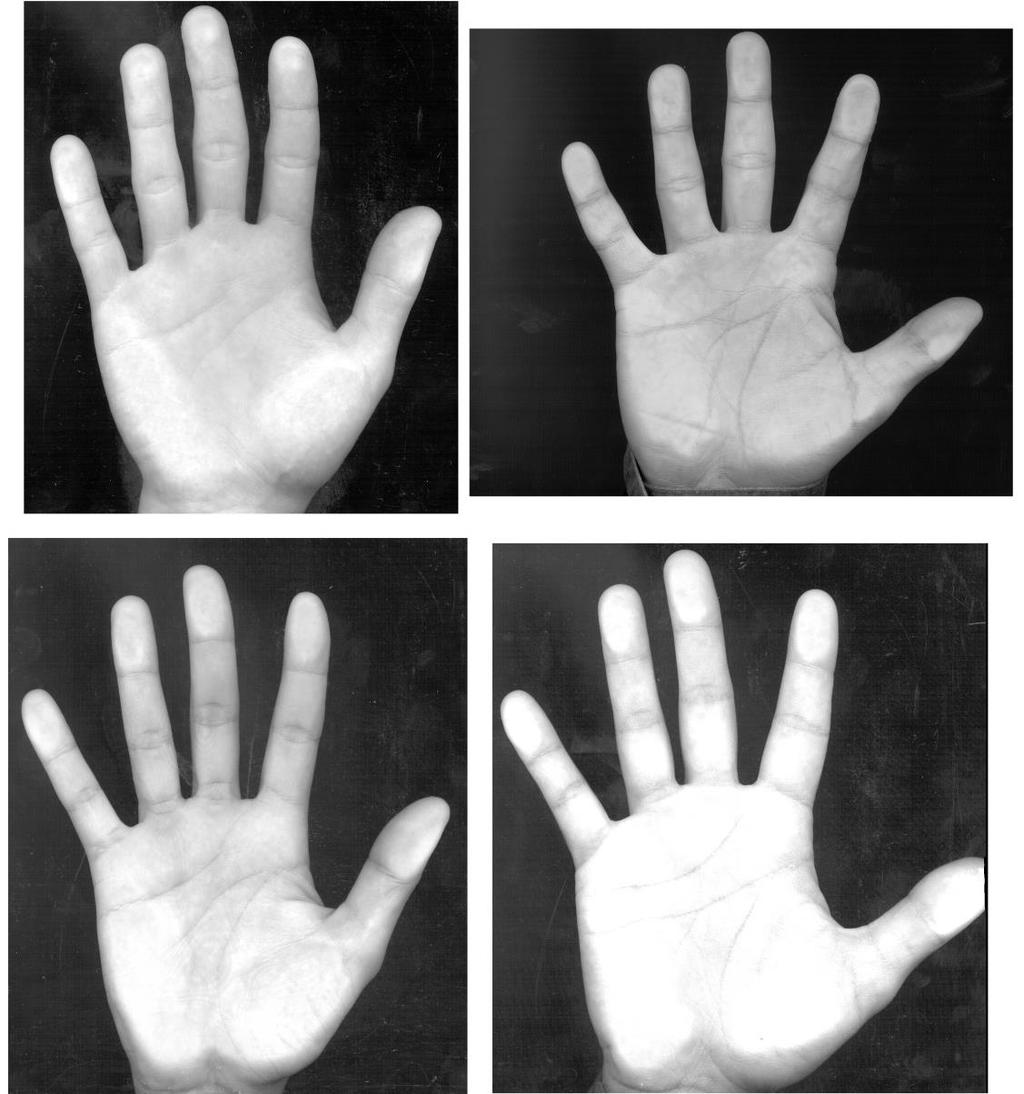 72 Para o banco de dados CASIA não existem trabalhos anteriores desenvolvidos com as características extraídas da geometria da mão.