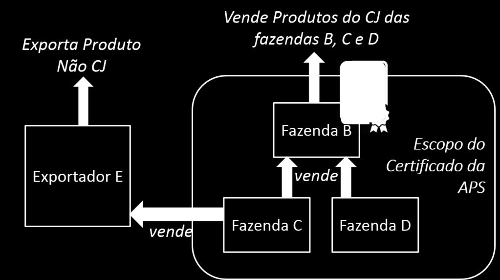 Restrições e Responsabilidades do Titular do Certificado Geralmente, o Titular do Certificado é um ator na cadeia de suprimentos que compra e vende produtos certificados como Comércio Justo.