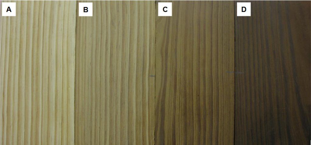 Poubel et al. Análises físicas e colorimétricas da madeira de Pinus sp. modificada termicamente Tabela 5.