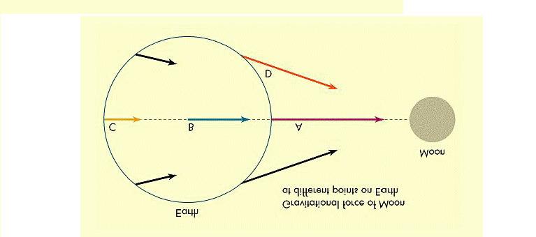 Marés Esquema de forças de atração da Lua e a força líquida atuará