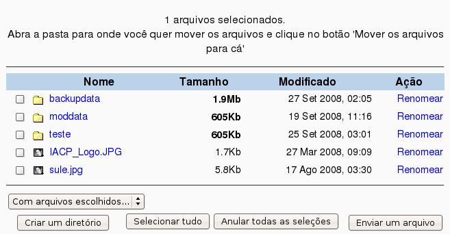 28 em abrir, depois no botão Enviar este arquivo. Após enviar o arquivo para o local desejado, clique sobre ele para visualizá-lo e exibir as informações, como a data do envio e o tamanho do arquivo.