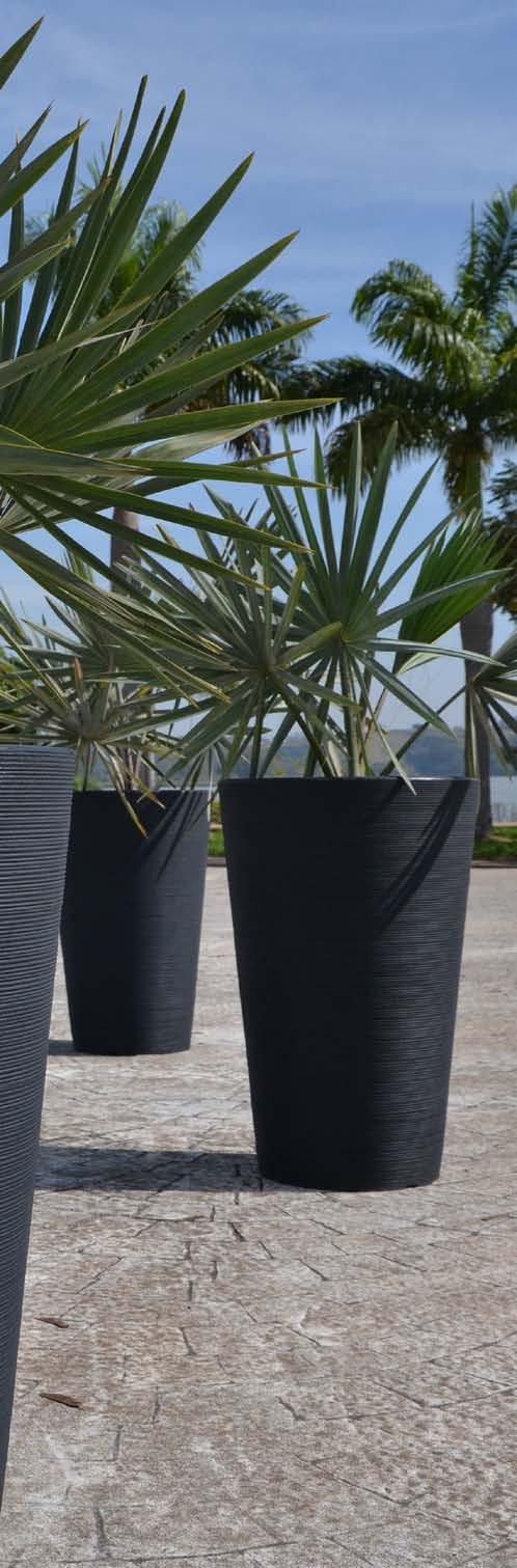 12 Ideais para plantas de grande porte, os vasos