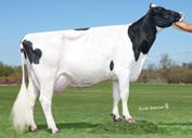 Avô Materno: CHARLESDALE SUPERSTITION-ET Avó Materna: CO-OP ZADE LANA APRIL-ET Class: EX-90, EX-MS, GMD Lactação: 3-05 2x 365d 38,560m 3.7 1433f 3.1 1187p lbs. Líder para taxa de prenhez das filhas.