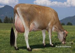 Pai: ALL LYNNS LOUIE VALENTINO-ET Mãe: PEARLMONT RESTORE DIXIE-ET Class: VG-87% Lactação: 2-00 305d 2x 19,000m 4.3 819f 3.4 650p lbs.