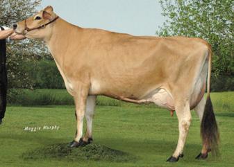 Avô Materno: MASON LEMVIG JACINTO-ET Avó Materna: GABYS ARTIST AMBROSIA Class: EX-91% Lactação: 3-08 305d 2x 28,840m 5.7 1607f 3.1 886p lbs.