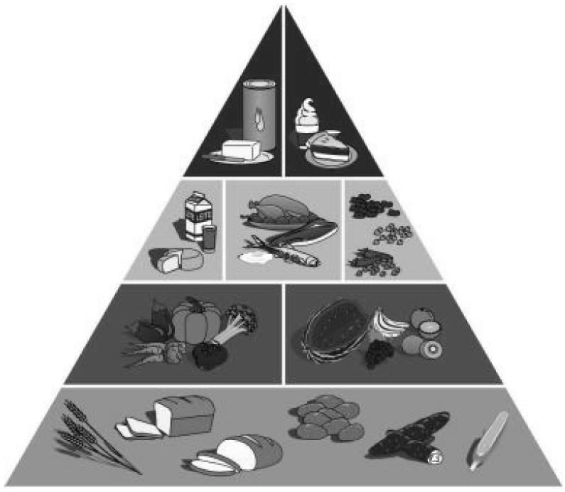 Exercícios Complementares 05. A figura abaixo representa a pirâmide de alimento.