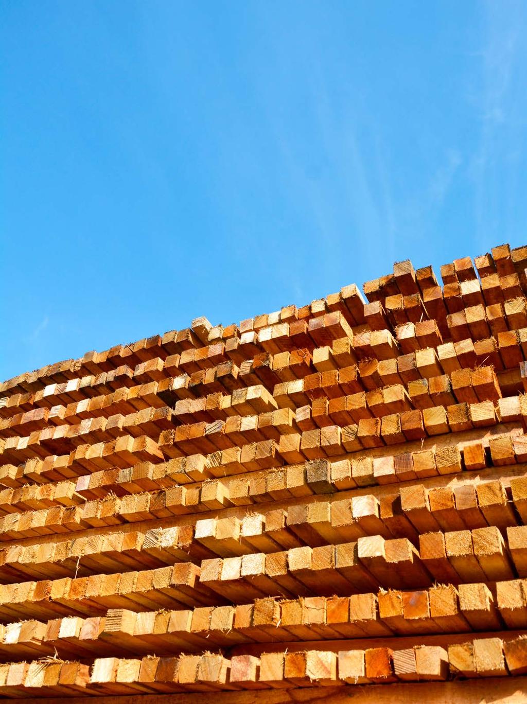 As pesquisas mais recentes na indústria de madeira sólida indicam que os produtores estão mais otimistas em