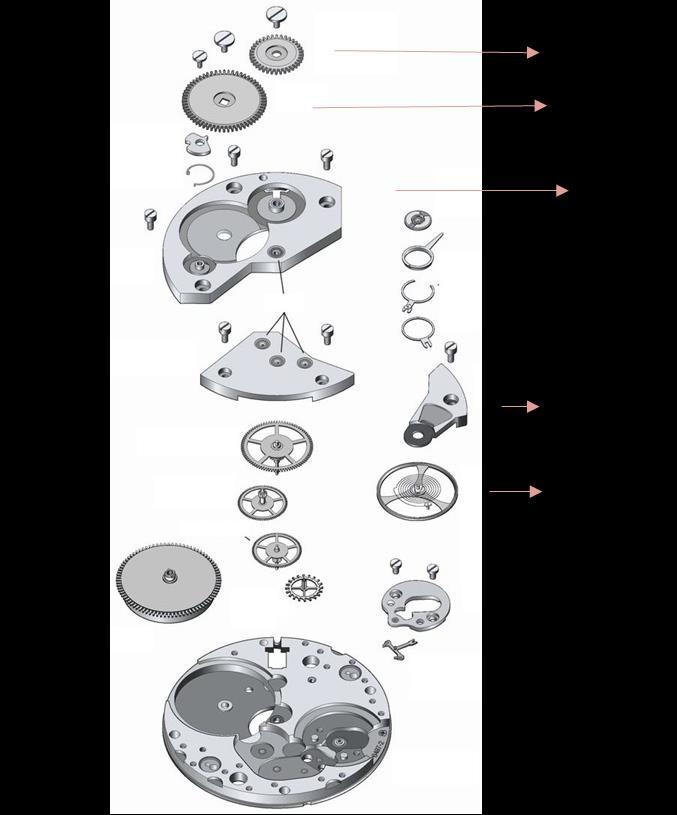 Figura 4: