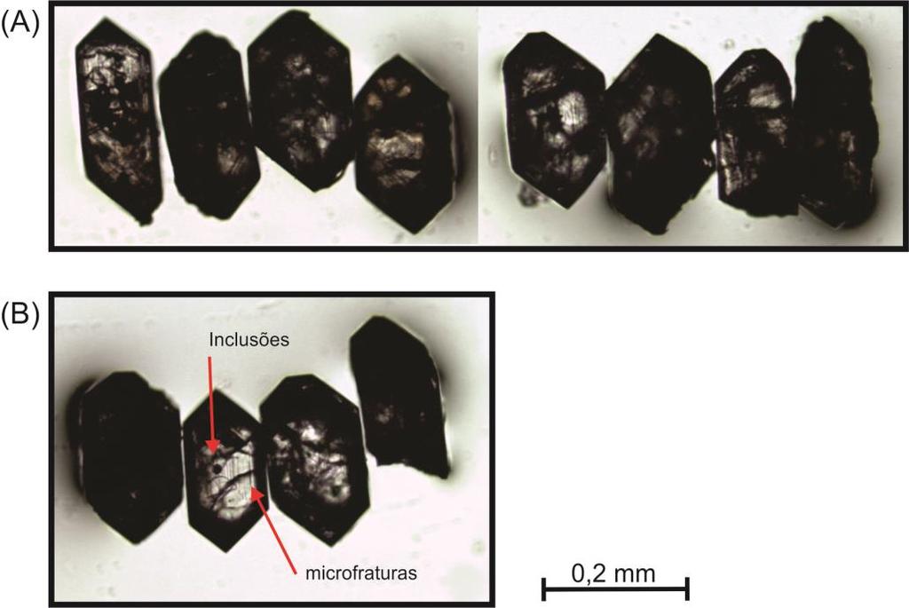 Tipologia de Zircões 77 Figura 30 - Cristais de zircão da amostra LT-R-08 (anfibólio-biotita monzogranito), (A) grãos euédricos