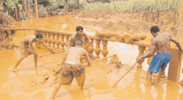 mortandade de peixes, desabastecimento de água