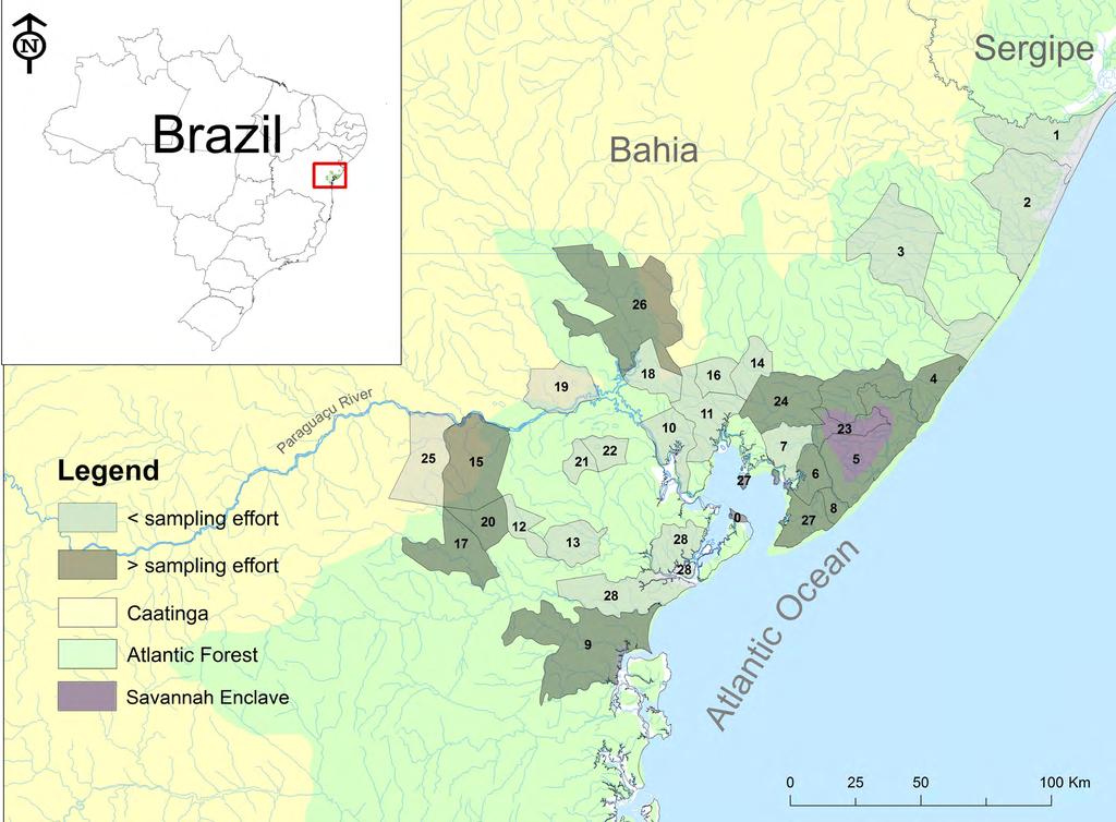 Figure 1. Geographical location of the municipalities studied in the Atlantic forest of Northern Bahia, Brazil.