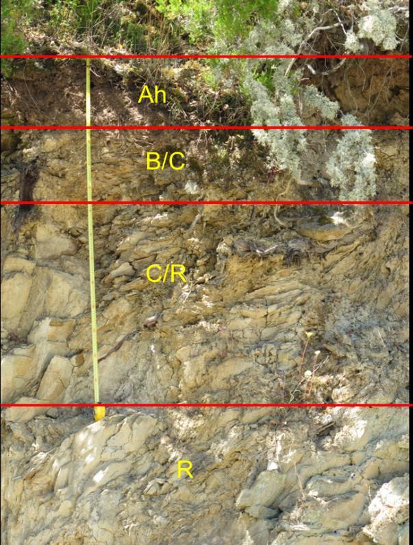 Sob o ponto de vista químico os solos reflectem o material litológico que os originaram, apresentando em geral ph ácido ou sub-ácido e, nas manchas com carbonatos ou calcários, ph neutro ou alcalino,