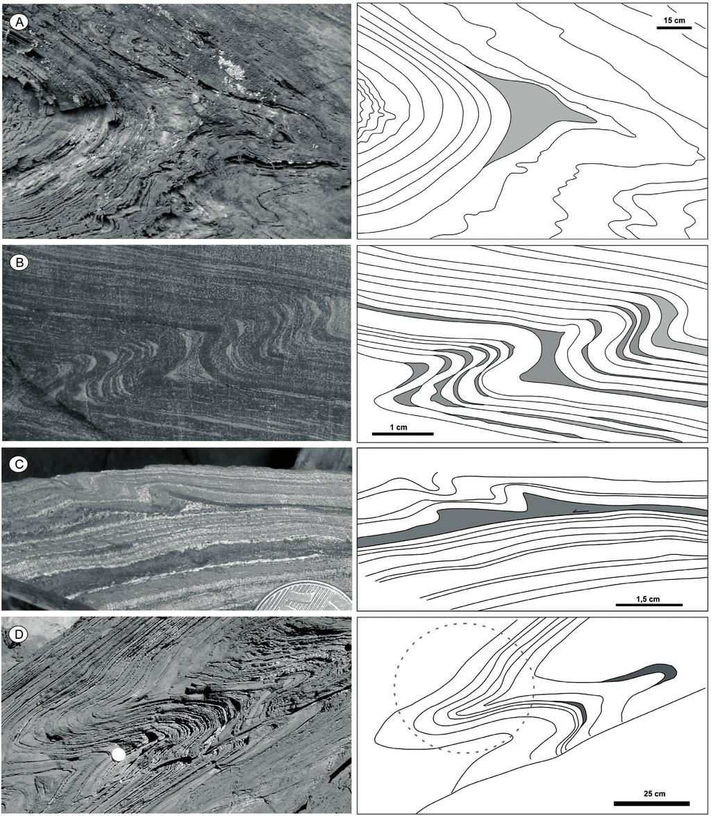 Sanglard, J. C. D. et al. A B C D Figura 3. Exemplos de saddle reefs e charneira colapsada em dobras em itabirito quartzoso da Formação Cauê no segmento oeste da Serra do Curral.