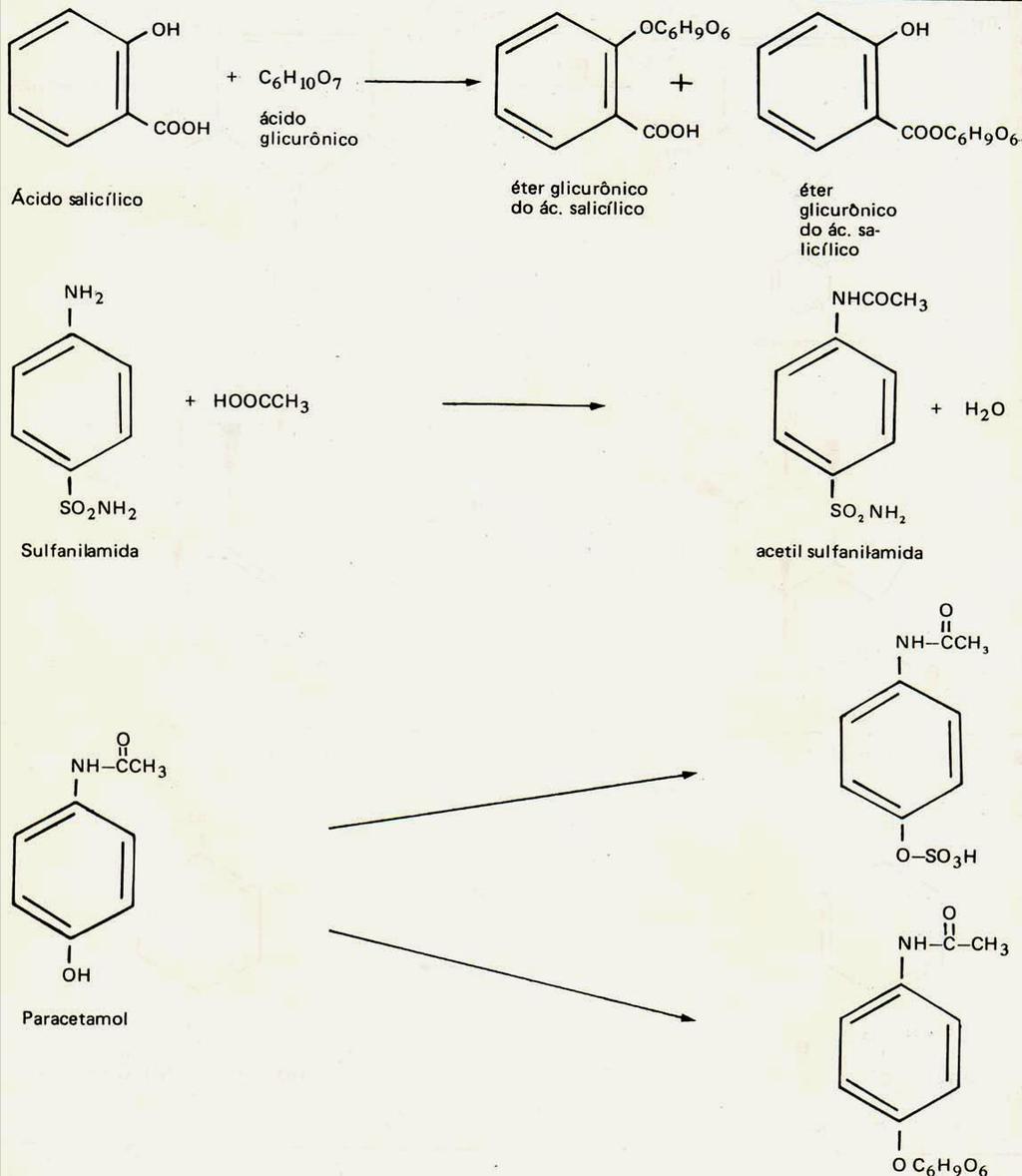 Reações de Fase II: Conjugação Glicuronidação