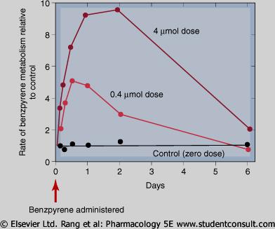 Estimulação do metabolismo