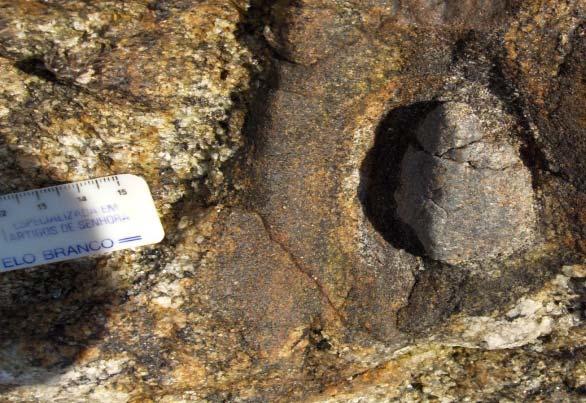 granoblástica e composição quartzo-biotítica; 3 - rocha magmática com textura
