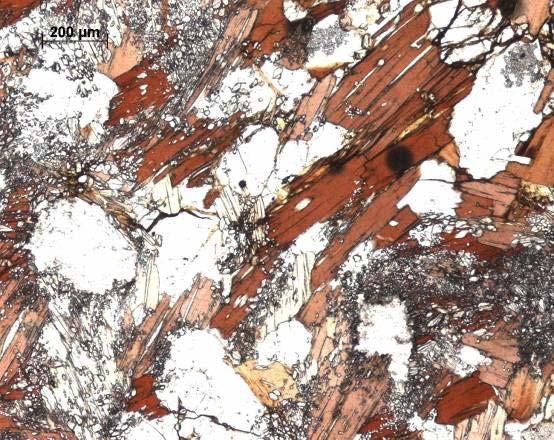 Aspectos petrográficos O paleossoma das rochas gnaisso-migmatíticas é constituído por metassedimentos do CXG, de natureza quartzo-pelítica, que