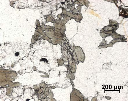 Microscopicamente o carácter granoblástico predomina sobre o lepidoblástico, em consequência da abundância de cristais de biotite subédricos de
