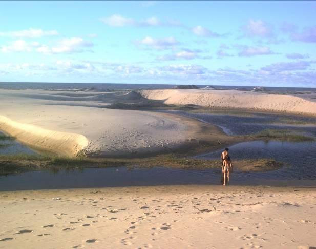 A vegetação predominante é o mangue e a vegetação de dunas e restinga. De acordo com Feitosa (1996, apud. Brasil, 1991 p. 38): As formações de manguezais [.