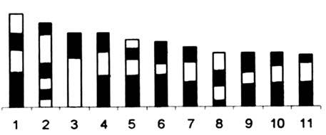 2 e 3 encontram-se os valores médios do comprimento total dos cromossomos das espécies em estudo, com seus respectivos desvios padrão. Essas medidas sugerem que o híbrido S.