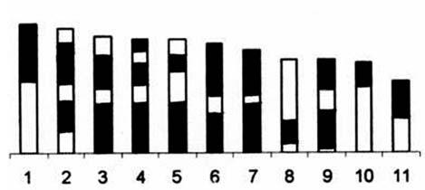 Esse relato corrobora os dados encontrados no presente trabalho, pois o maior comprimento cromossômico encontrado, em média, não é superior a 3,58 m.