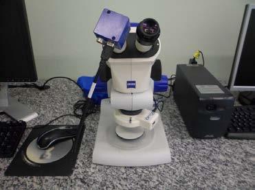 Foi utilizado um microscópio da marca Zeiss, modelo Stemi 2000,