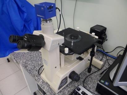ferramenta, através de um sistema de micro análises EDS (Energy Dispersive Spectroscopy Espectroscopia de