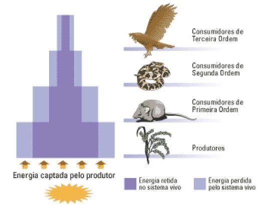 Stahnke Nutrição A principal relação entre as